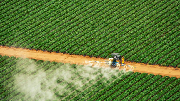 Reliable English, IN Pest Control Solutions