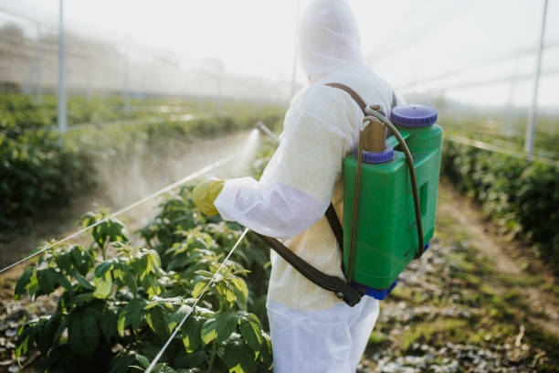 Best Exterminator Services  in English, IN